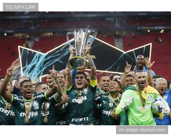 帕尔梅拉斯主场三球完胜维多利亚 继续以三分之差紧追榜首弗拉门戈